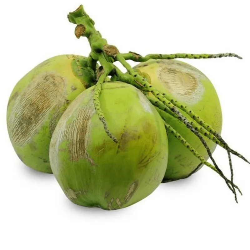 Coco Verde